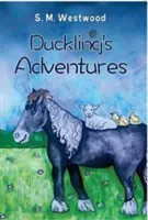 Les aventures d'un canard - Duckling's Adventures