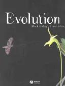 L'évolution - Evolution