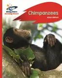 Planète lecture - Chimpanzés - Rouge B : Rocket Phonics - Reading Planet - Chimpanzees - Red B: Rocket Phonics