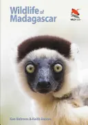 La faune de Madagascar - Wildlife of Madagascar