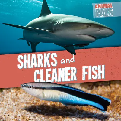 Requins et poissons nettoyeurs - Sharks and Cleaner Fish