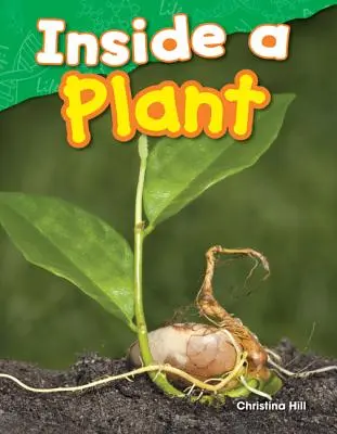 À l'intérieur d'une plante - Inside a Plant