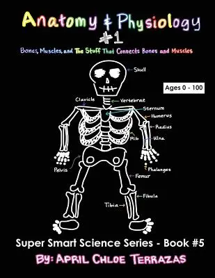 Anatomie et physiologie Partie 1 : Os, muscles et ce qui relie les os et les muscles - Anatomy & Physiology Part 1: Bones, Muscles, and the Stuff That Connects Bones and Muscles