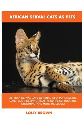 Les chats servals africains comme animaux de compagnie - African Serval Cats as Pets