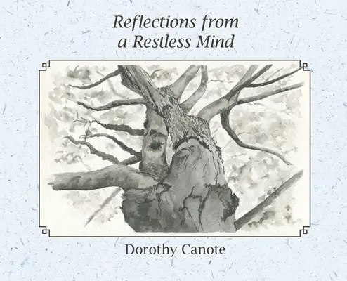 Réflexions d'un esprit agité - Reflections from a Restless Mind