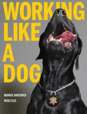 Travailler comme un chien - Working Like A Dog