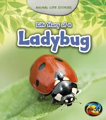 Histoire de la vie d'une coccinelle - Life Story of a Ladybug