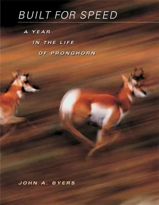 Construit pour la vitesse : Une année dans la vie de Pronghorn - Built for Speed: A Year in the Life of Pronghorn