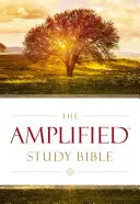 Bible d'étude amplifiée, couverture rigide - Amplified Study Bible, Hardcover