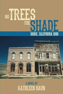 Pas d'arbres pour faire de l'ombre : Bodie, Californie - No Trees for Shade: Bodie, California