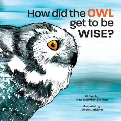 Comment le hibou est-il devenu sage ? - How Did the Owl Get to Be Wise