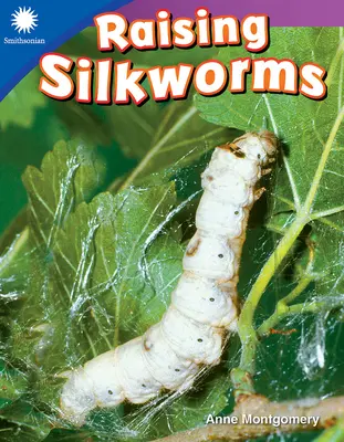 Élever des vers à soie - Raising Silkworms