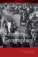 Géographies subalternes - Subaltern Geographies