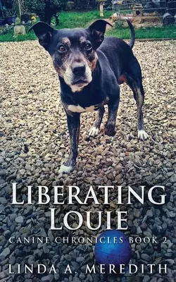 Libérer Louie : La route vers Rutland - Liberating Louie: The Road To Rutland