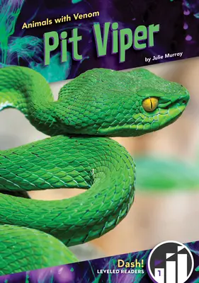 Vipère des fosses - Pit Viper