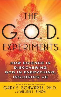 Les expériences G.O.D. : Comment la science découvre Dieu dans tout, y compris en nous - The G.O.D. Experiments: How Science Is Discovering God in Everything, Including Us