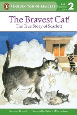 Le chat le plus courageux ! - The Bravest Cat!