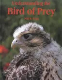 Comprendre les oiseaux de proie - Understanding the Bird of Prey