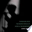 Turquoise Days : Le monde étrange d'Echo & the Bunnymen - Turquoise Days: The Weird World of Echo & the Bunnymen