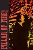 Pilier de feu : Une biographie de Stephen S. Wise - Pillar of Fire: A Biography of Stephen S. Wise