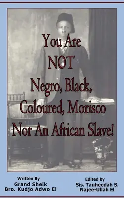 Vous n'êtes ni nègre, ni noir, ni de couleur, ni morisque, ni esclave africain ! - You Are NOT Negro, Black, Coloured, Morisco Nor An African Slave!