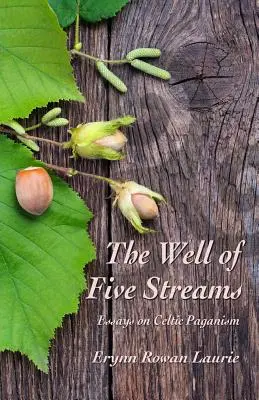Le puits des cinq ruisseaux - The Well of Five Streams