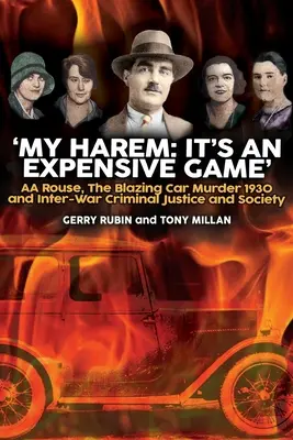 Mon Harem : C'est un jeu coûteux - My Harem: It's an Expensive Game