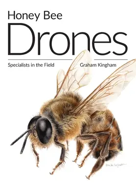 Drones d'abeilles : Des spécialistes sur le terrain - Honey Bee Drones: Specialists in the Field