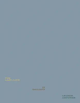 Leonor Antunes : Les derniers jours à Galliate - Leonor Antunes: The Last Days in Galliate