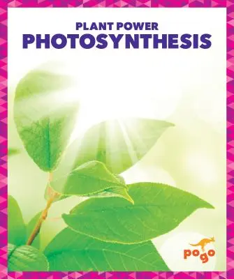 Photosynthèse - Photosynthesis