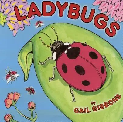 Les coccinelles - Ladybugs