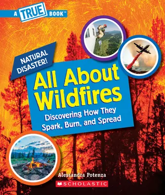 Tout sur les incendies de forêt (un livre vrai : les catastrophes naturelles) - All about Wildfires (a True Book: Natural Disasters)