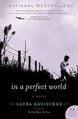 Dans un monde parfait - In a Perfect World