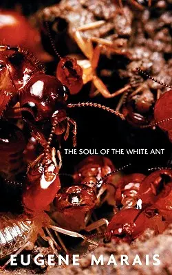 L'âme de la fourmi blanche - The Soul of the White Ant