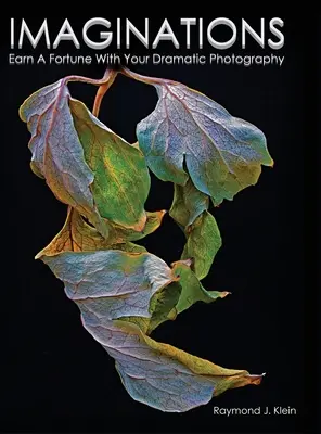 Imaginations : Gagnez une fortune avec votre photographie dramatique - Imaginations: Earn A Fortune With Your Dramatic Photography
