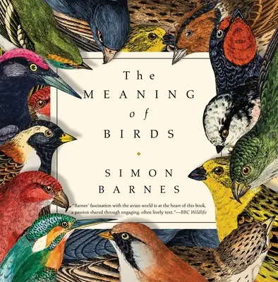 La signification des oiseaux - The Meaning of Birds