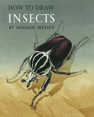 Comment dessiner les insectes (Facsimile Reprint) - How to Draw Insects (Facsimile Reprint)