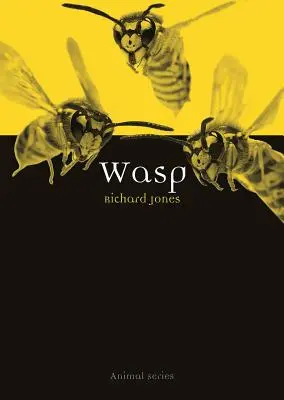 Guêpe - Wasp