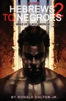 Hébreux pour les Nègres 2 : Volume 2 : Réveillez l'Amérique noire - Hebrews to Negroes 2: Volume 2 Wake Up Black America