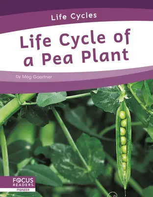 Cycle de vie d'un petit pois - Life Cycle of a Pea Plant