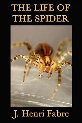 La vie de l'araignée - The Life of the Spider