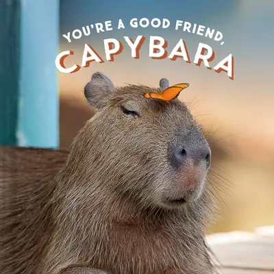 Tu es un bon ami, Capybara - You're a Good Friend, Capybara