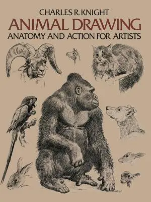 Dessin d'animaux : Anatomie et action pour les artistes - Animal Drawing: Anatomy and Action for Artists