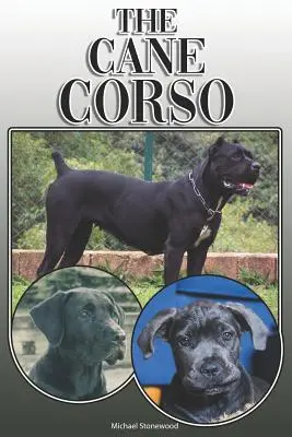 Le Cane Corso : Un guide complet et exhaustif pour les propriétaires : L'achat, la possession, la santé, le toilettage, le dressage, l'obéissance, la compréhension et l'éducation. - The Cane Corso: A Complete and Comprehensive Owners Guide To: Buying, Owning, Health, Grooming, Training, Obedience, Understanding and
