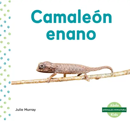 Camalen Enano (Caméléon à feuilles) - Camalen Enano (Leaf Chameleon)