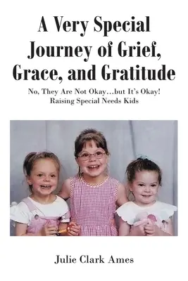 Un voyage très spécial de deuil, de grâce et de gratitude : Non, ils ne vont pas bien... mais ça va ! Élever des enfants à besoins spéciaux - A Very Special Journey of Grief, Grace, and Gratitude: No, They Are Not Okay...but It's Okay! Raising Special Needs Kids