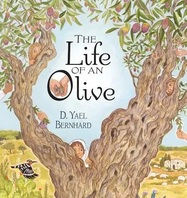 La vie d'une olive - The Life of an Olive