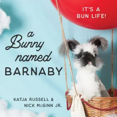 Un lapin nommé Barnaby : La vie d'un lapin - A Bunny Named Barnaby: It's a Bun Life