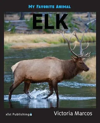 Mon animal préféré Les élans - My Favorite Animal: Elk