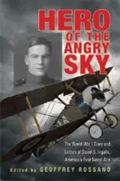 Héros du ciel en colère : le journal et les lettres de David S. Ingalls, premier as de la marine américaine, pendant la Première Guerre mondiale - Hero of the Angry Sky: The World War I Diary and Letters of David S. Ingalls, America's First Naval Ace